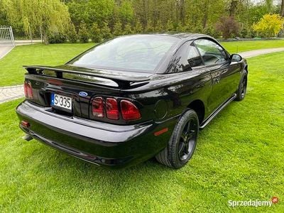 Używany 1996 Ford Mustang | 20 900 zł