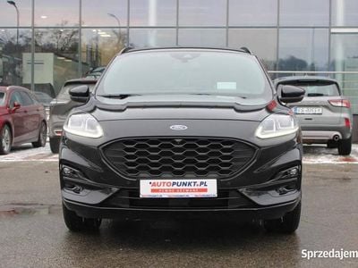 Używany Ford Kuga 2022 SUV