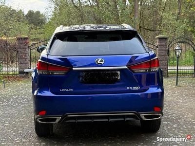Granatowy Używany 2020 Lexus RX300 Sport Line SUV | 200 000 zł