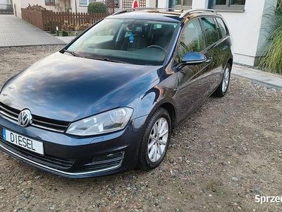 używany VW Golf VII lounge 1.6 TDI 2016