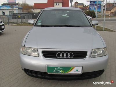 Srebrny Używany 2003 Audi A3 Hatchback | 9999 zł