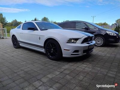 Używany Ford Mustang 2014 Biały Coupe