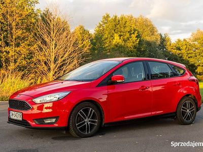 Używany Ford Focus 150 KM (110 kW) 2015