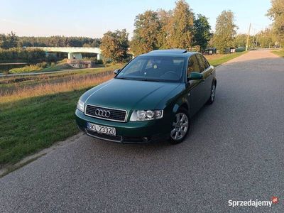 Używany 2001 Audi A4 | 10 900 zł (Uczciwa cena)