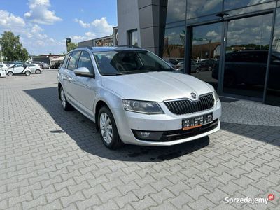 używany Skoda Octavia 4x4, manual, led, bi-xenon, podgrz. fot., web…