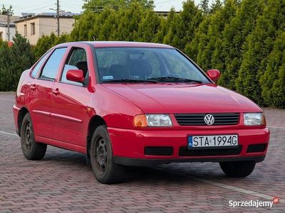 VW Polo
