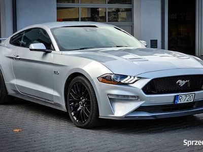 używany Ford Mustang GT 