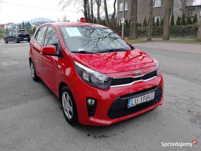 używany Kia Picanto 