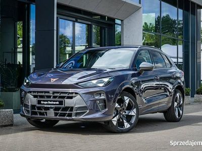 Nowe Cupra Terramar 2026 Fioletowy SUV