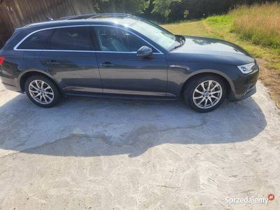 Używany Audi A4 2015