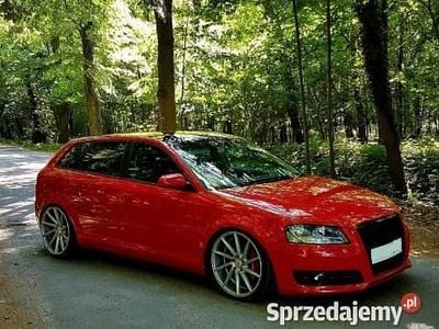 Używany Audi A3 Sport 105 KM (77 kW) 2005 Czerwony Hatchback
