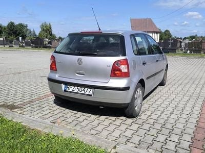 VW Polo