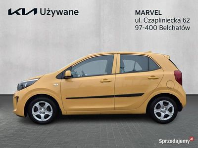 Używany Kia Picanto 2024 Żółty Hatchback