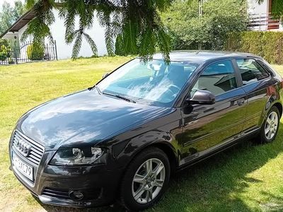 Czarny Używany 2010 Audi A3 Ambition | 23 700 zł (Uczciwa cena)