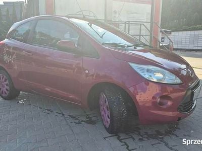 Używany Ford Ka 2009 Bordowy Hatchback