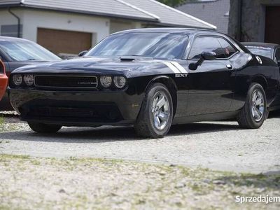 używany Dodge Challenger 