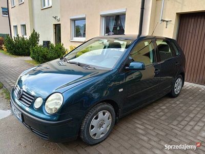 VW Polo