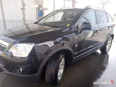 Używany 2013 Opel Antara SUV | 35 000 zł (Dość drogi)
