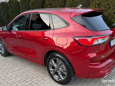 Czerwony Używany 2020 Ford Kuga ST-Line SUV | 89 900 zł (Drogi)