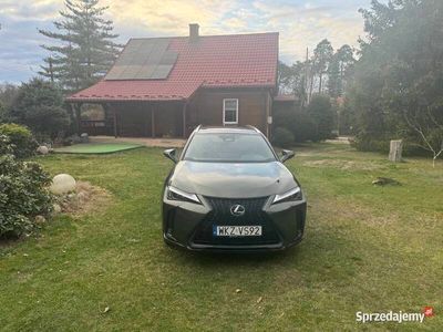 Lexus UX 300h