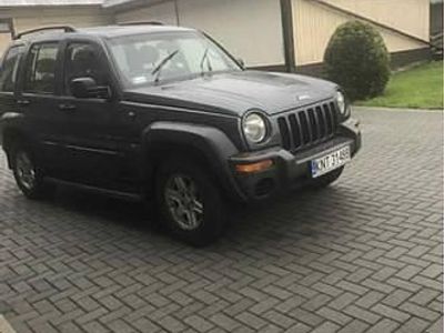 Zielony Używany 2003 Jeep Cherokee Sport SUV | 7800 zł