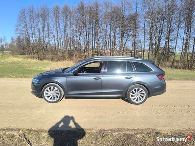 używany Skoda Octavia 