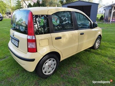 używany Fiat Panda 