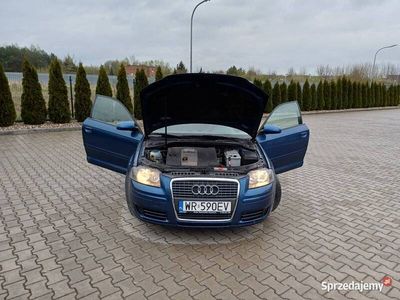 Używany 2006 Audi A3 | 14 600 zł