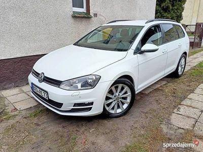 VW Golf VII