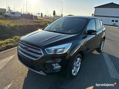 używany Ford Kuga