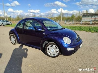 VW Beetle
