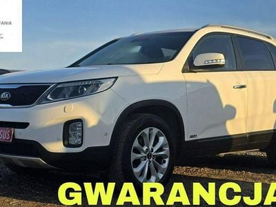 Biały Używany 2013 Kia Sorento SUV | 42 900 zł (Super Cena)