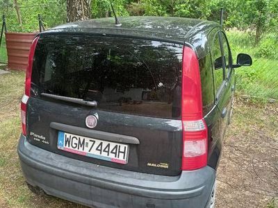 Używany Fiat Panda 4x4 2012 Hatchback