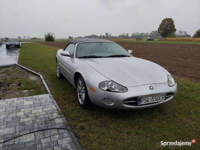 Srebrny Używany 2000 Jaguar XK8 Coupe | 50 000 zł