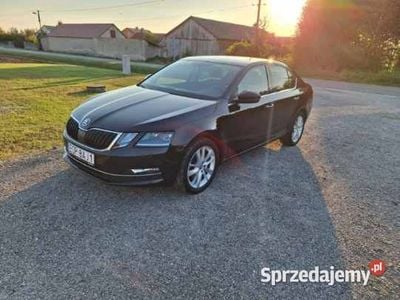 Używany 2018 Skoda Octavia | 64 700 zł (Dość drogi)