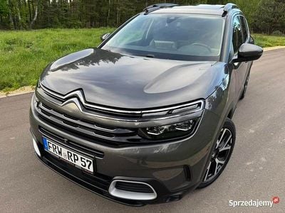 Używany Citroën C5 Aircross 2019 Beżowy SUV