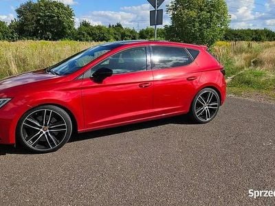 Używany Seat Leon CUPRA 2019 Czerwony Hatchback