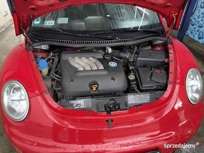 VW Beetle