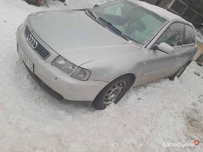 Używany 1998 Audi A3 | 1500 zł (Dobra cena)