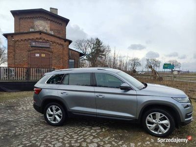 Używany 2017 Skoda Kodiaq SUV | 93 900 zł (Drogi)