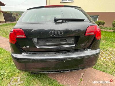 używany Audi A3 Sportback 8p 1,9tdi