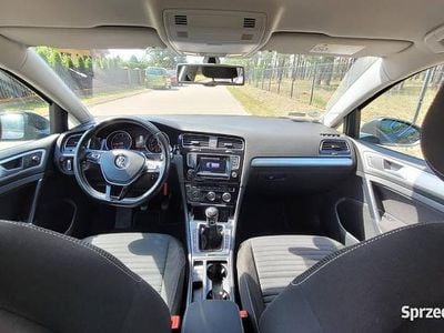 VW Golf VII