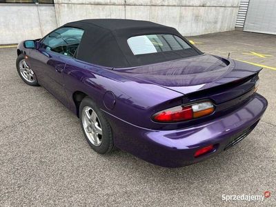 Używany 1998 Chevrolet Camaro Kabriolet | 16 000 zł