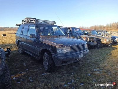 Używany Land Rover Range Rover 1995 SUV