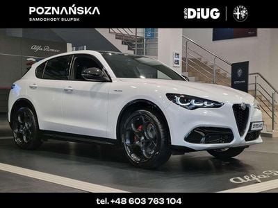 Lakier pastelowy biały alfa white Nowe 2025 Alfa Romeo Stelvio Veloce SUV | 250 096 zł