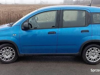 Niebieski Używany 2024 Fiat Panda Hatchback | 57 000 zł