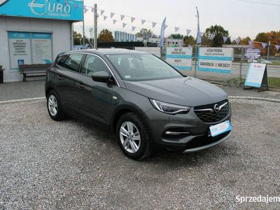 używany Opel Grandland X F-VAT,Salon-PL,Gwarancja,I-właściciel,Elit…