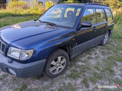 Niebieski Używany 2000 Subaru Forester SUV | 7200 zł