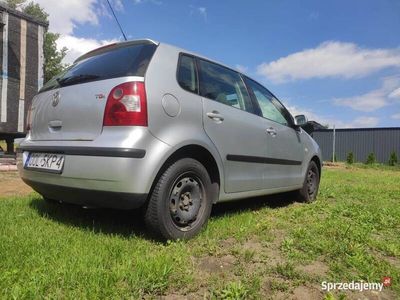 VW Polo