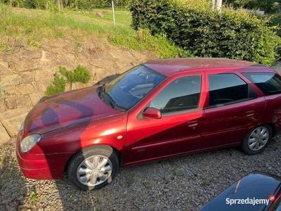 Używany Citroën Xsara 2003
